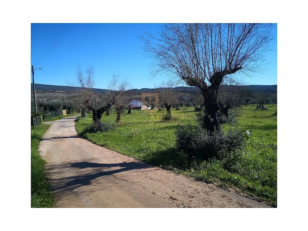 Moradia T0 à venda em Freixianda, Ribeira do Fárrio e Formigais, Ourém — foto 5