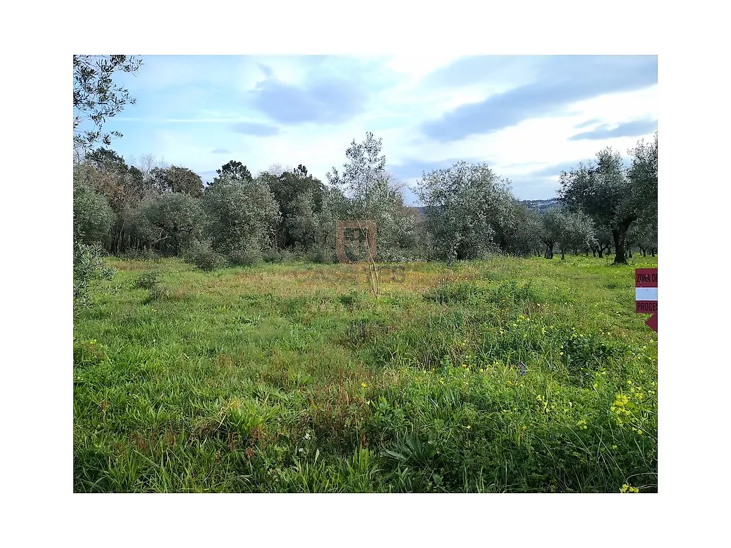 Moradia T0 à venda em Casais e Alviobeira, Tomar — foto 15