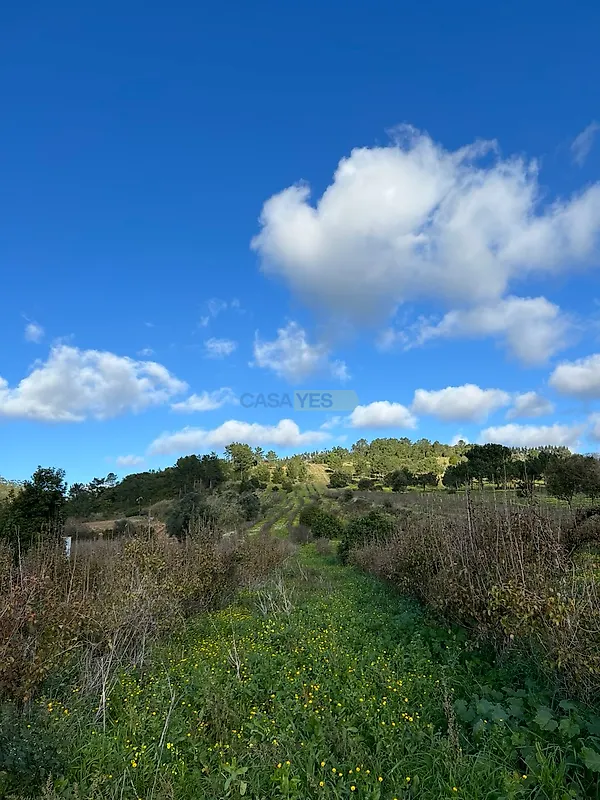 Moradia T3 à venda em Usseira, Óbidos — foto 10
