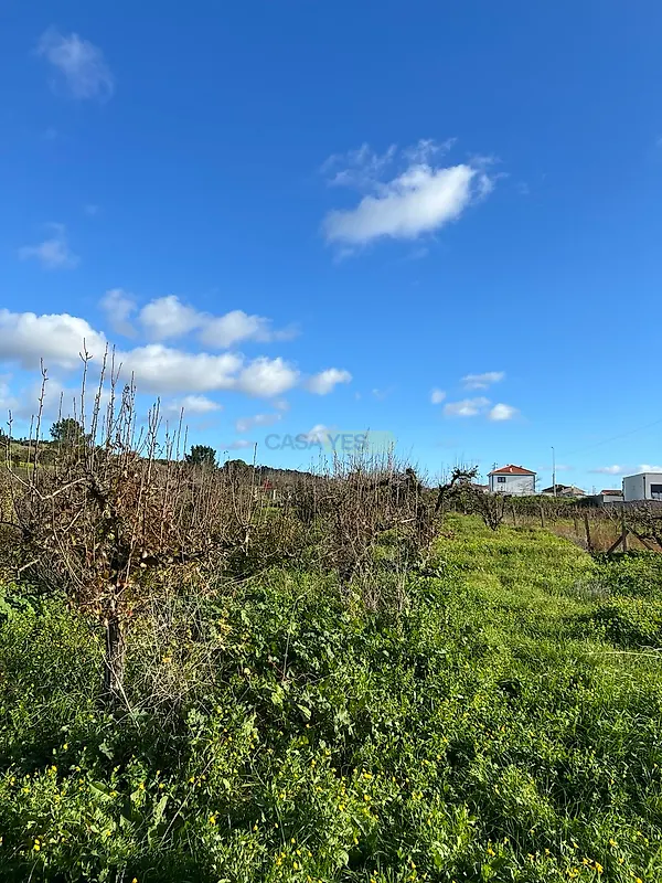 Moradia T3 à venda em Usseira, Óbidos — foto 11