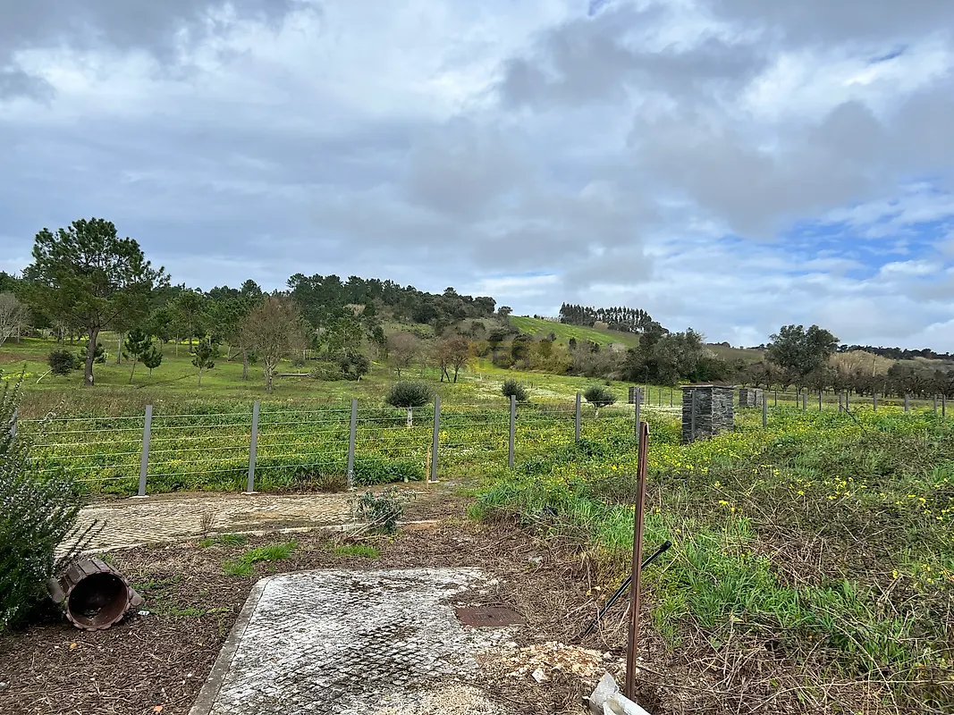 Moradia T3 à venda em Usseira, Óbidos — foto 9