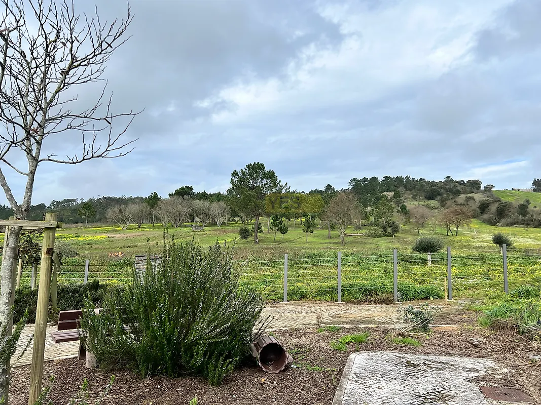 Moradia T3 à venda em Usseira, Óbidos — foto 11