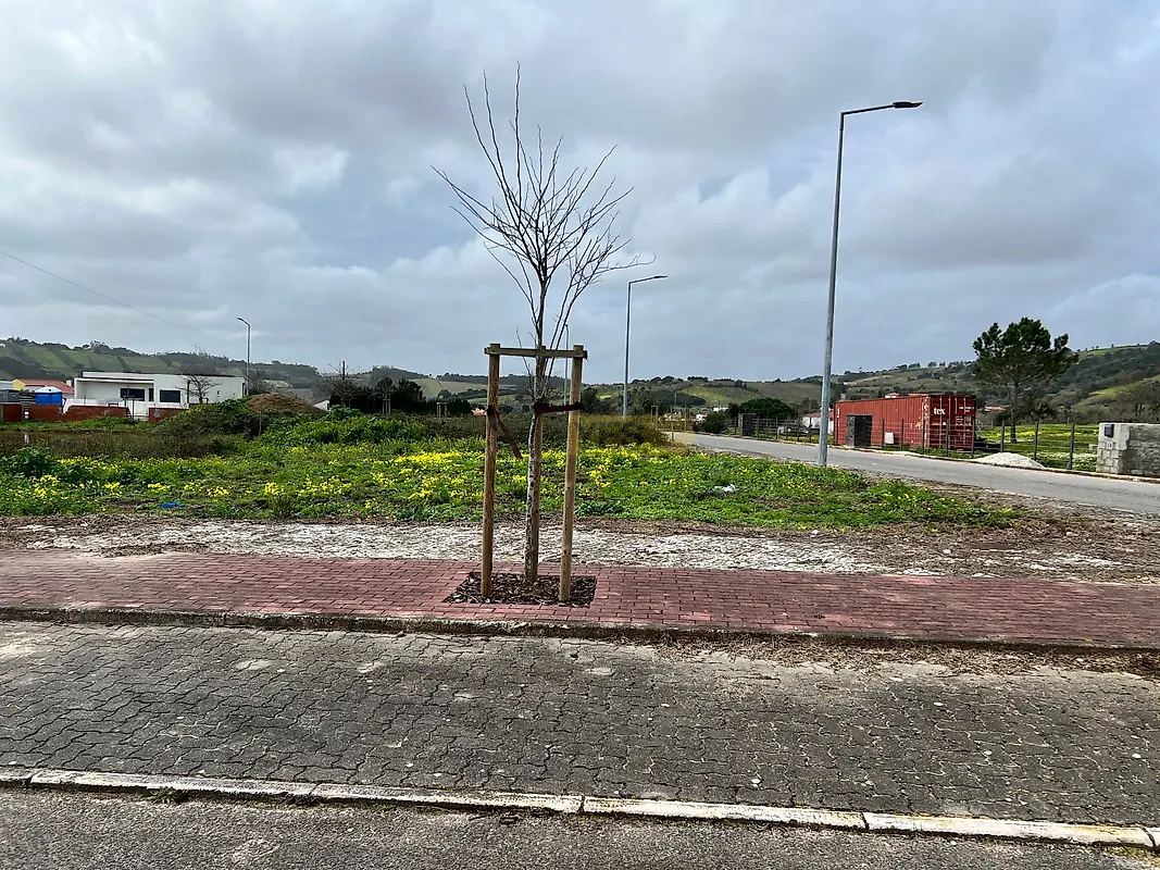 Moradia T3 à venda em Usseira, Óbidos — foto 17