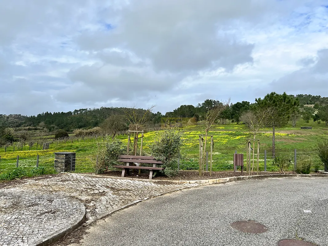 Moradia T3 à venda em Usseira, Óbidos — foto 20