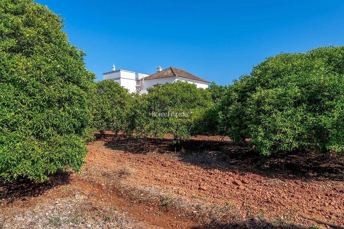 Apartamento T5 à venda em Conceição e Cabanas de Tavira, Tavira — foto 18