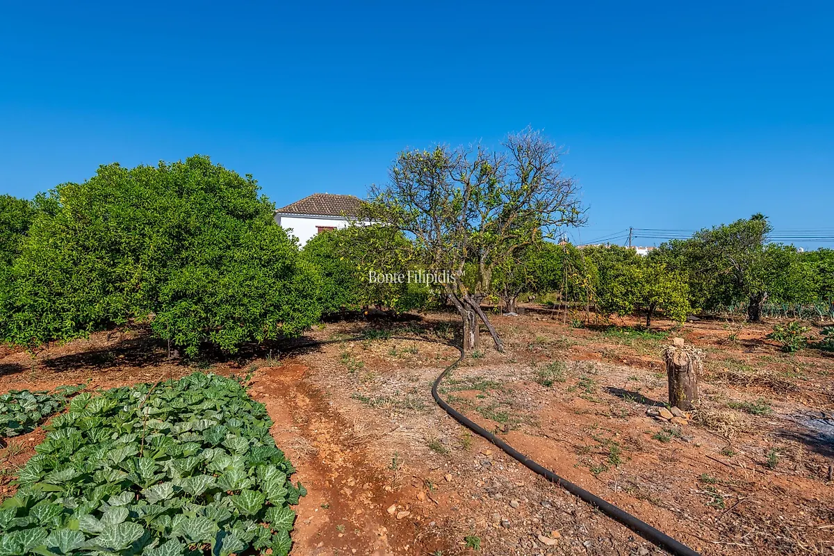 Apartamento T5 à venda em Conceição e Cabanas de Tavira, Tavira — foto 20