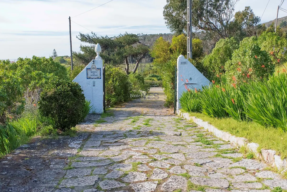 Moradia T4 à venda em Alcabideche, Cascais — foto 4