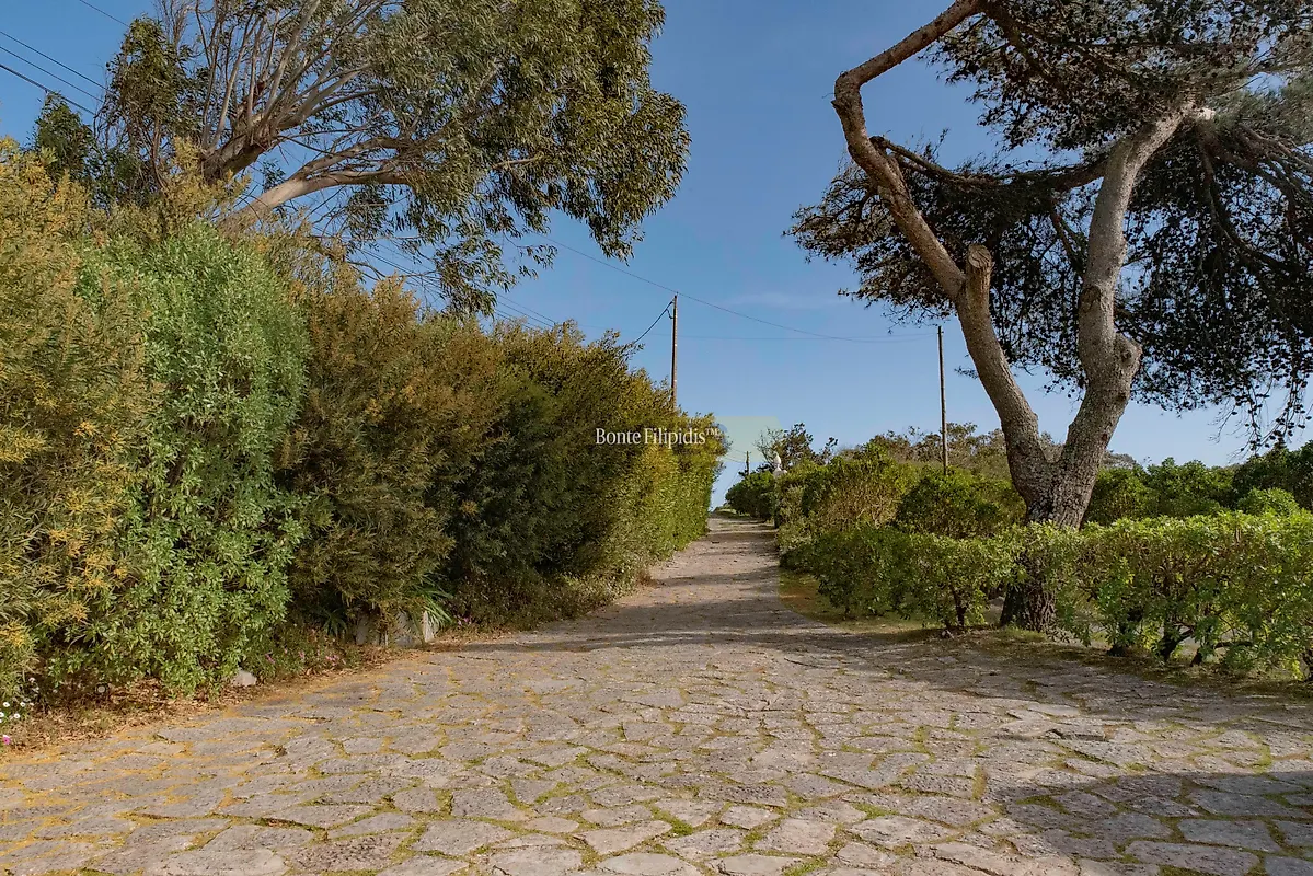 Moradia T4 à venda em Alcabideche, Cascais — foto 5