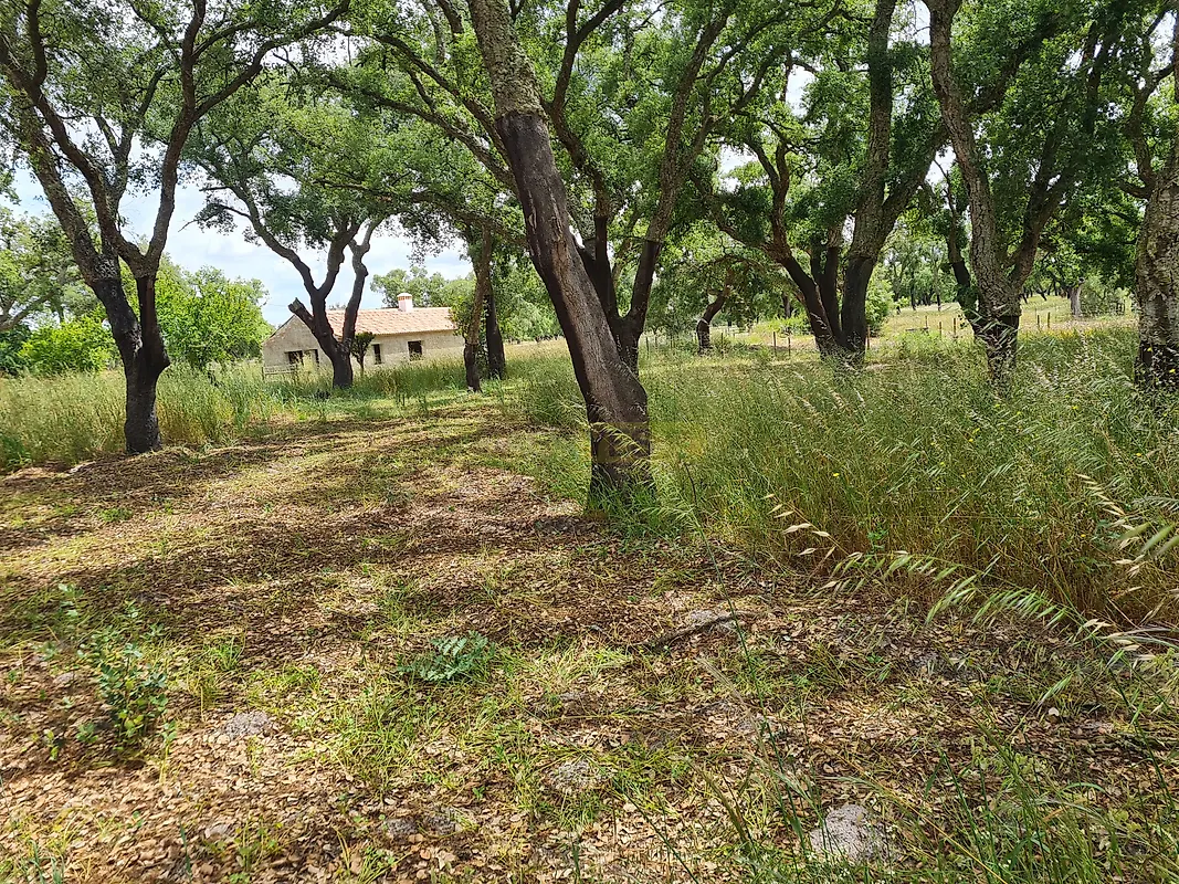 Apartamento T4 à venda em São Domingos e Vale de Água, Santiago do Cacém — foto 11