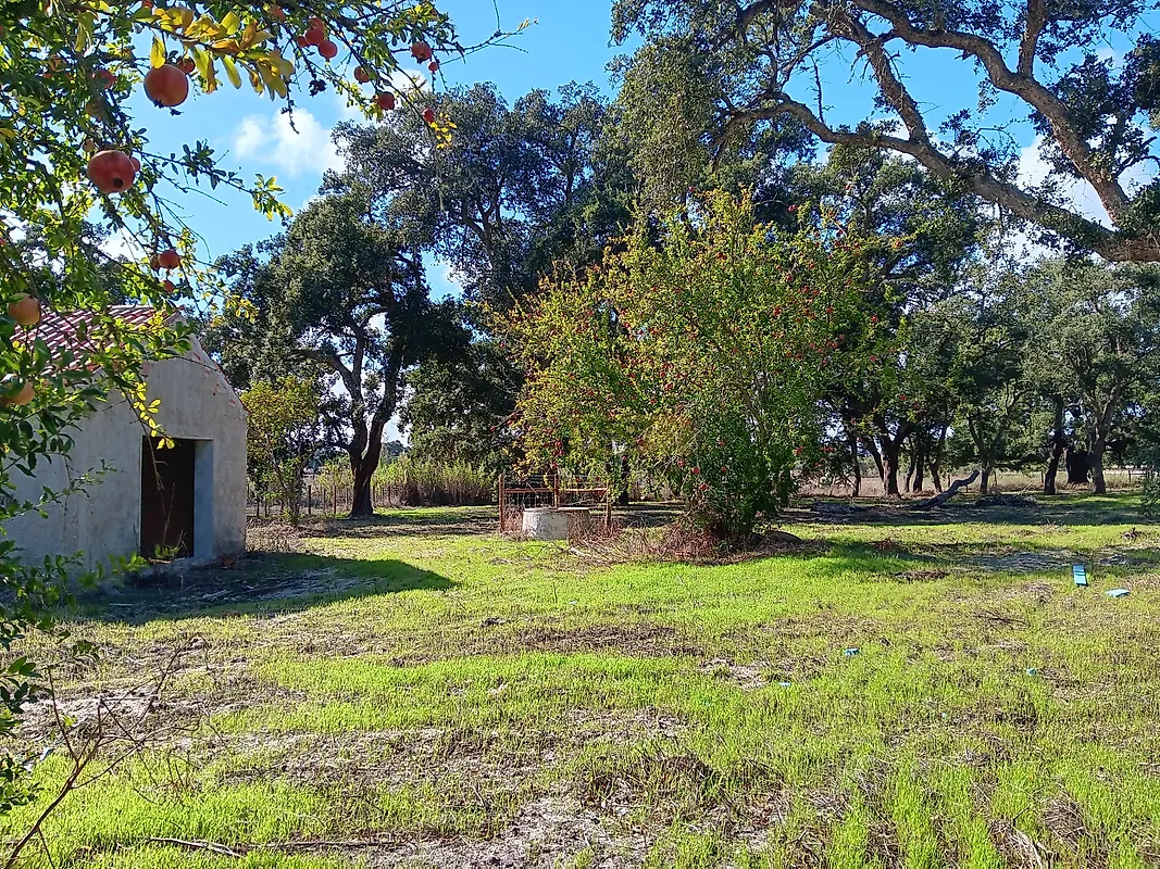 Apartamento T4 à venda em São Domingos e Vale de Água, Santiago do Cacém — foto 2