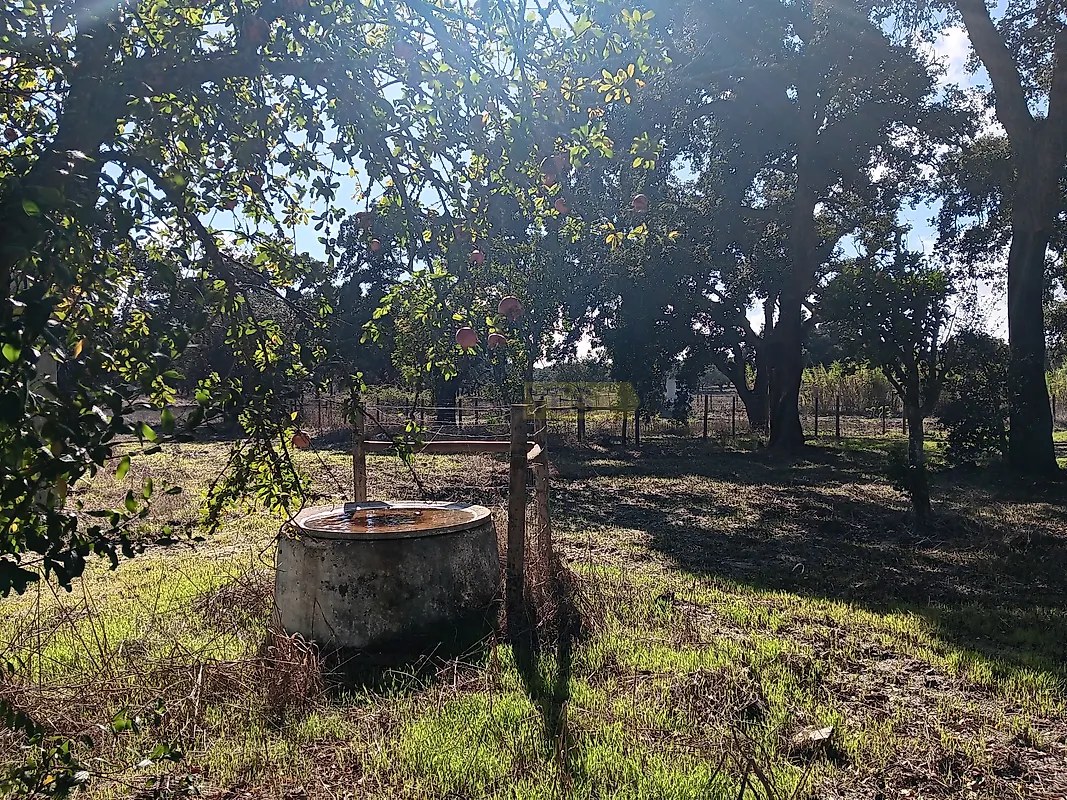 Apartamento T4 à venda em São Domingos e Vale de Água, Santiago do Cacém — foto 4