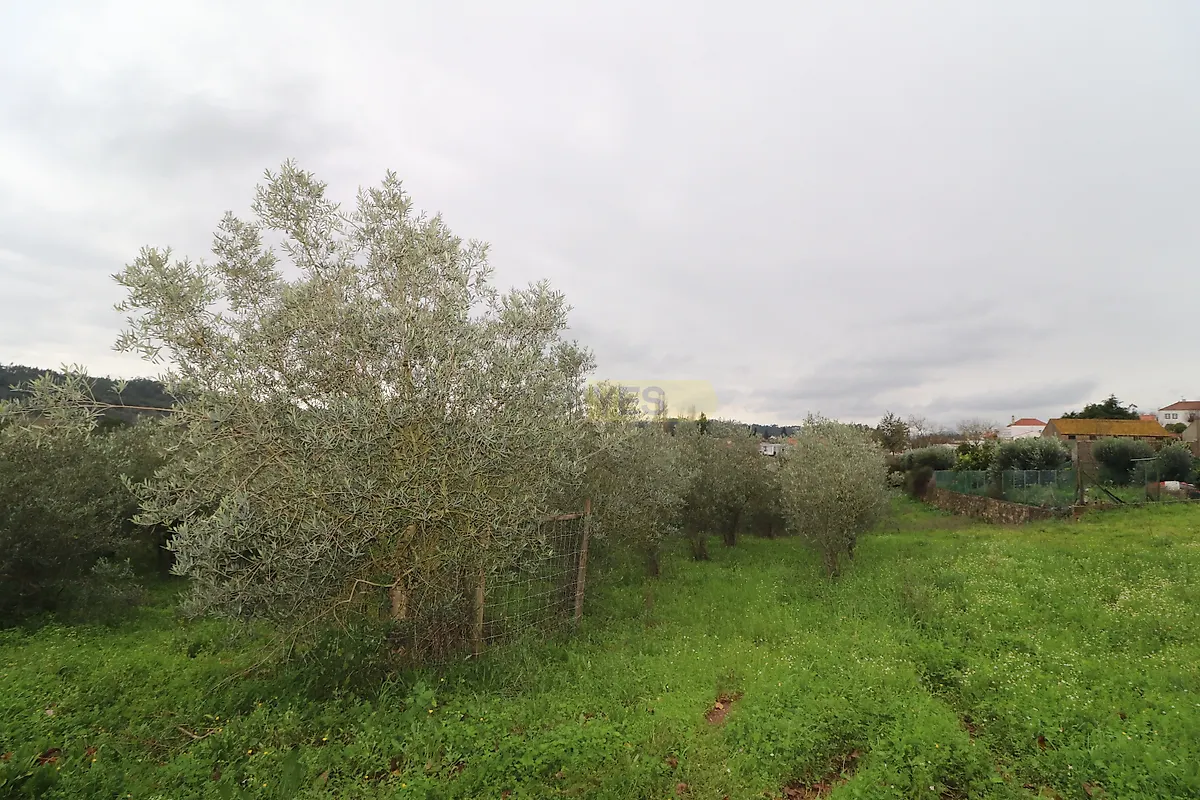 Moradia T0 à venda em Pussos São Pedro, Alvaiázere — foto 6