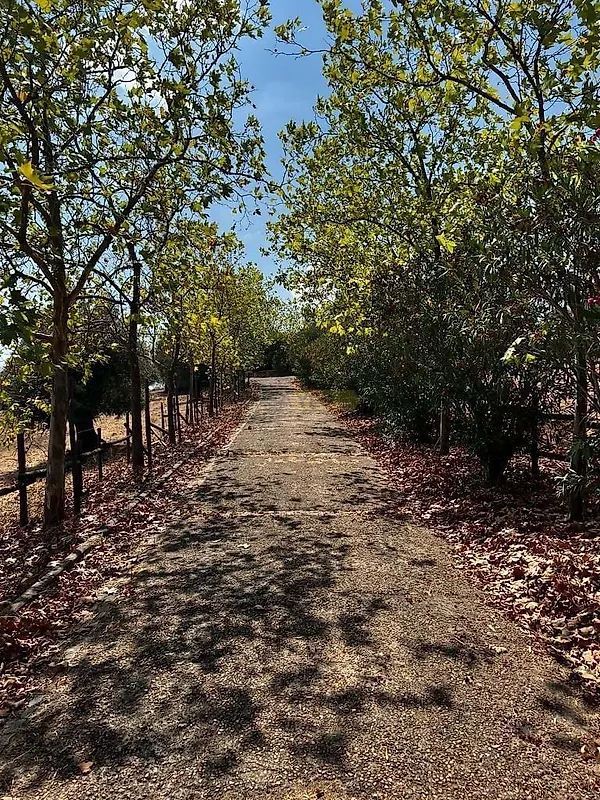 Moradia T0 à venda em Terrugem e Vila Boim, Elvas — foto 9