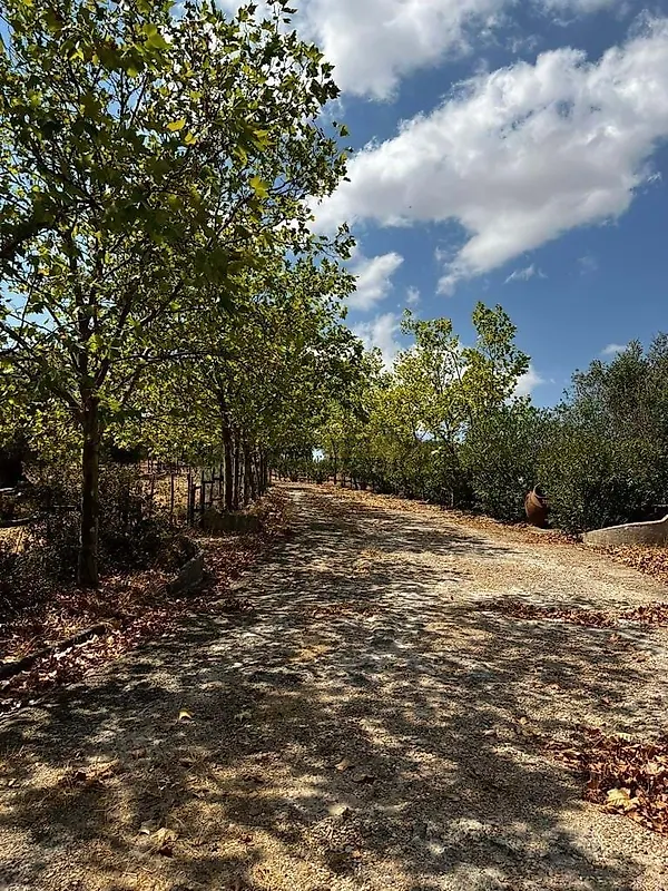 Moradia T0 à venda em Terrugem e Vila Boim, Elvas — foto 11