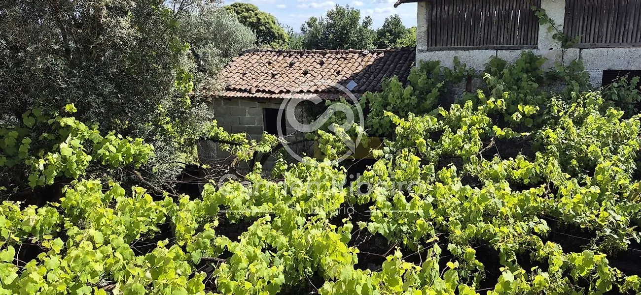 Moradia T3 à venda em Aboim, Felgueiras, Gontim e Pedraído, Fafe — foto 13