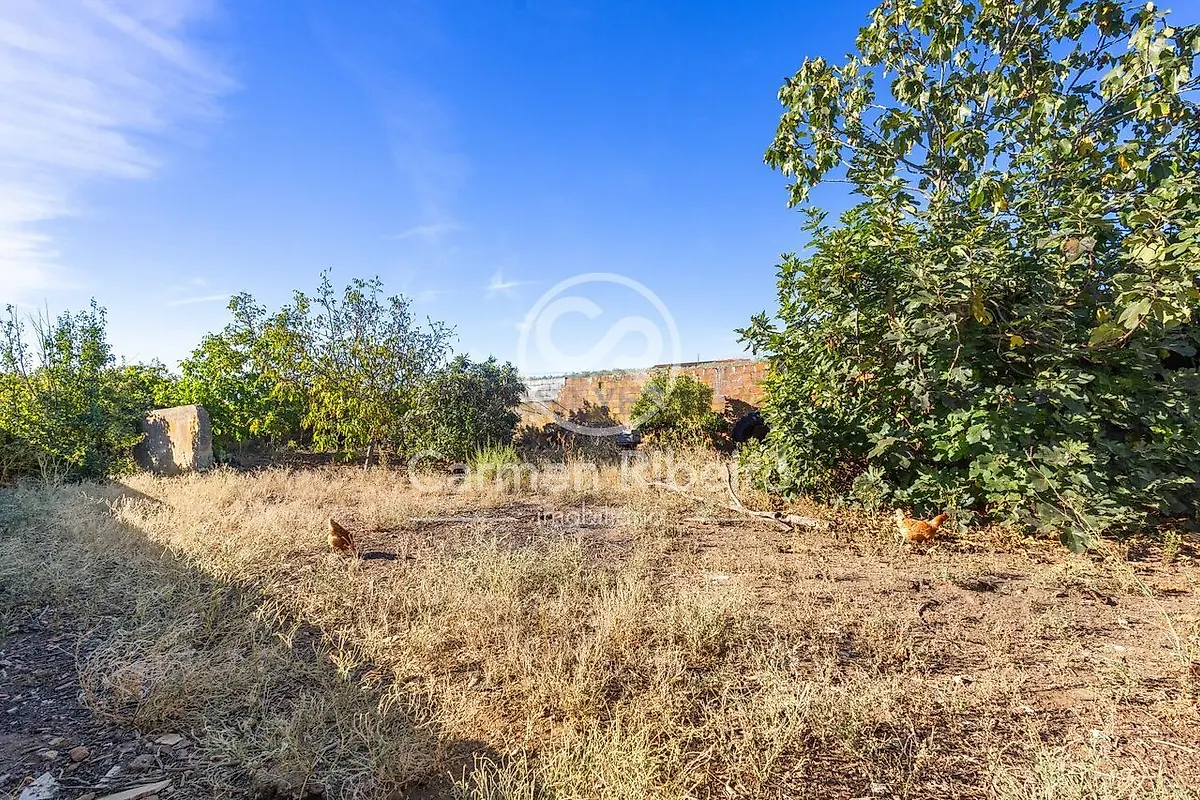 Moradia T4 à venda em Santo Amaro, Sousel — foto 20