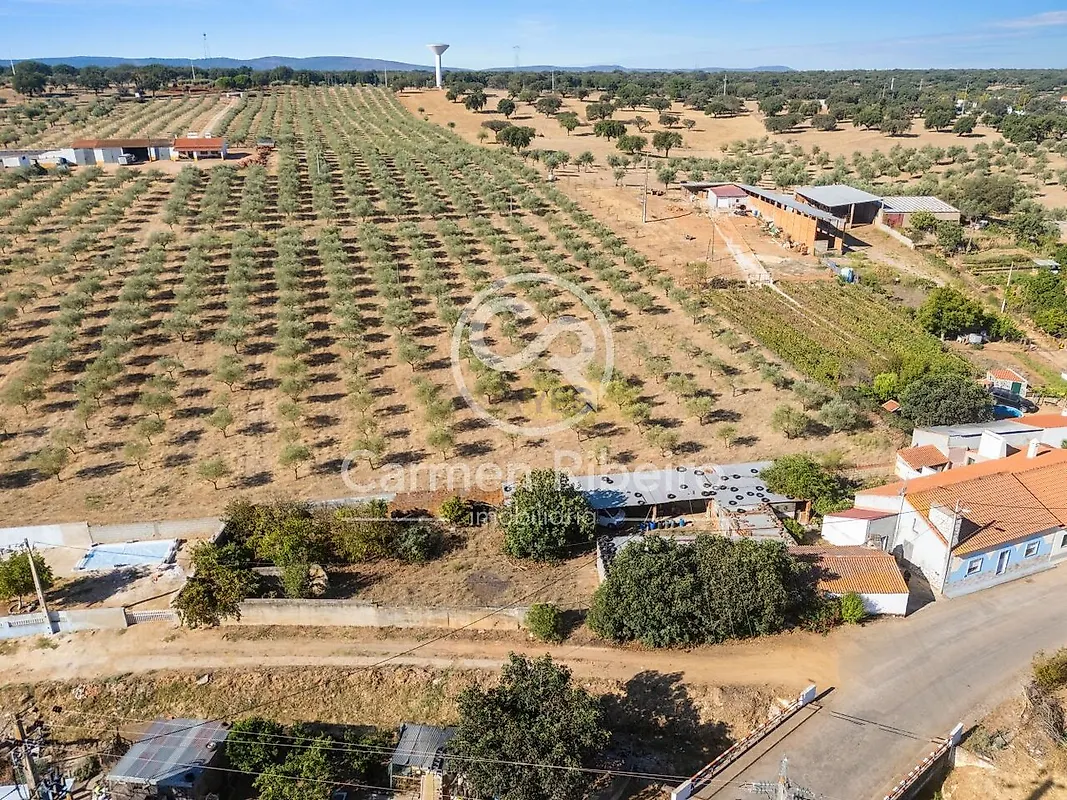 Moradia T4 à venda em Santo Amaro, Sousel — foto 21