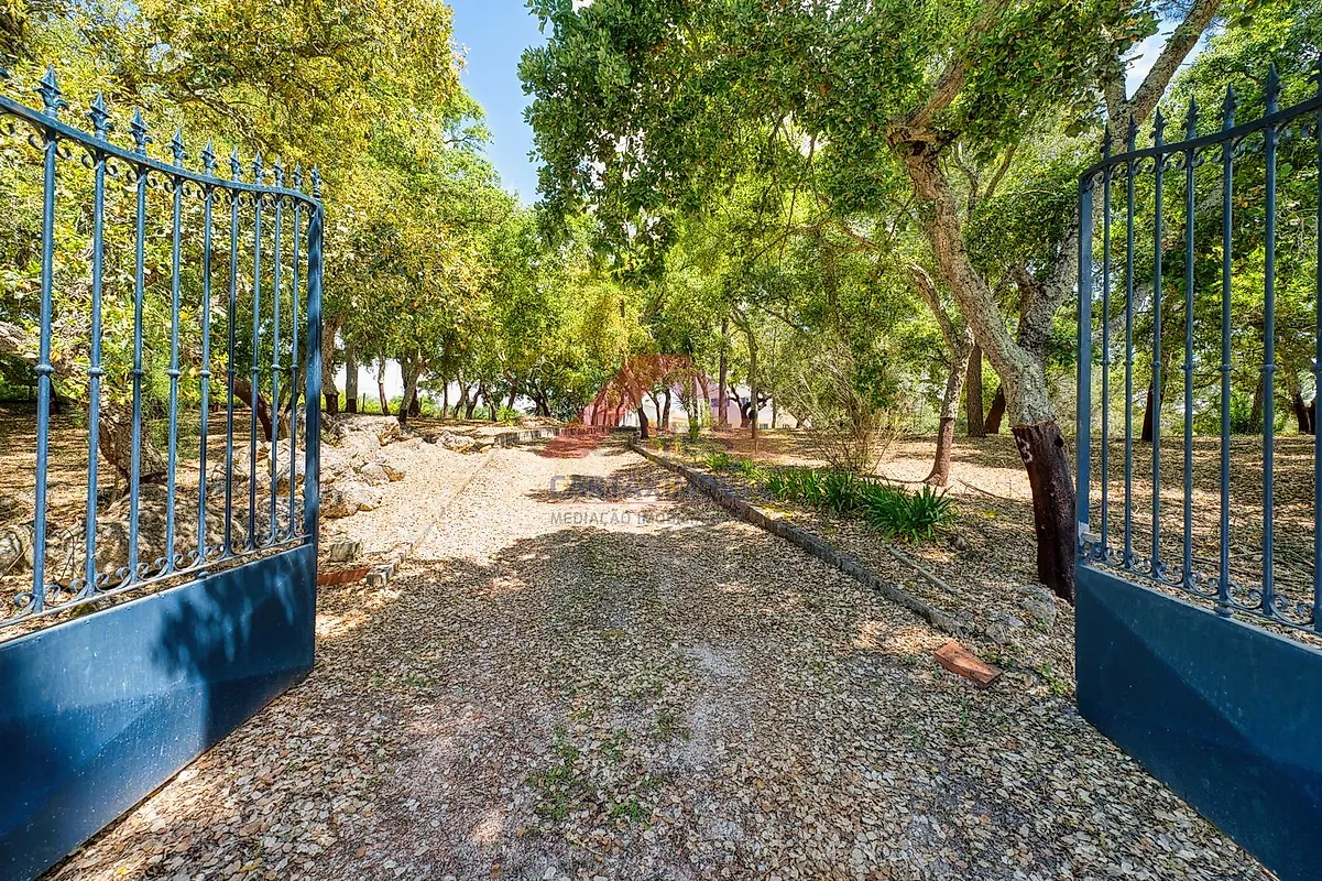 Apartamento T5 à venda em Vale de Santarém, Santarém — foto 8