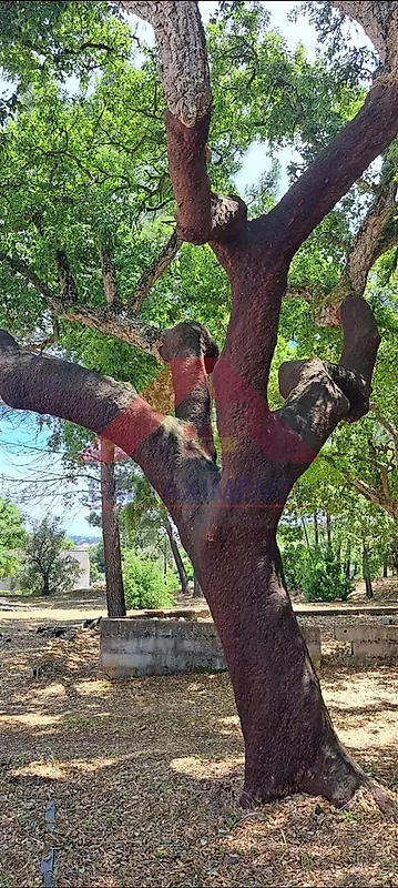 Apartamento T5 à venda em Vale de Santarém, Santarém — foto 19