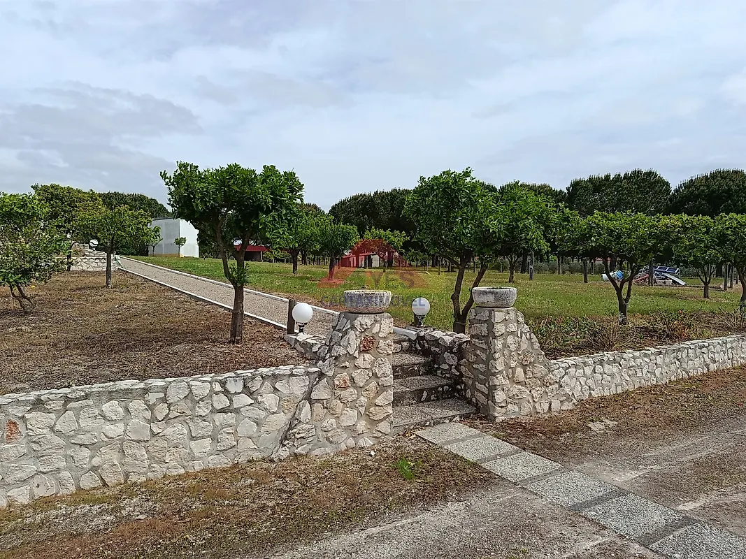 Moradia T4 à venda em Branca, Coruche — foto 5