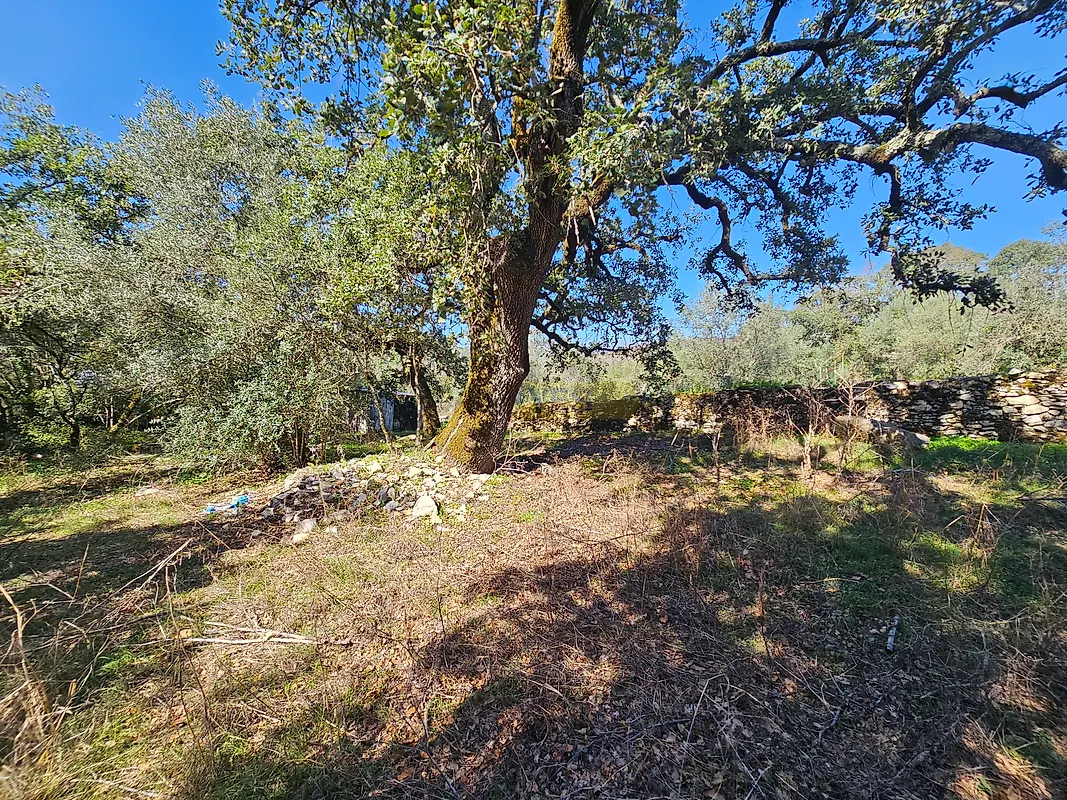 Moradia T0 à venda em Pussos São Pedro, Alvaiázere — foto 20