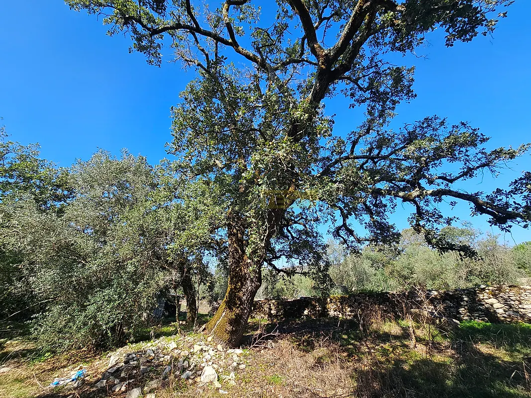 Moradia T0 à venda em Pussos São Pedro, Alvaiázere — foto 21