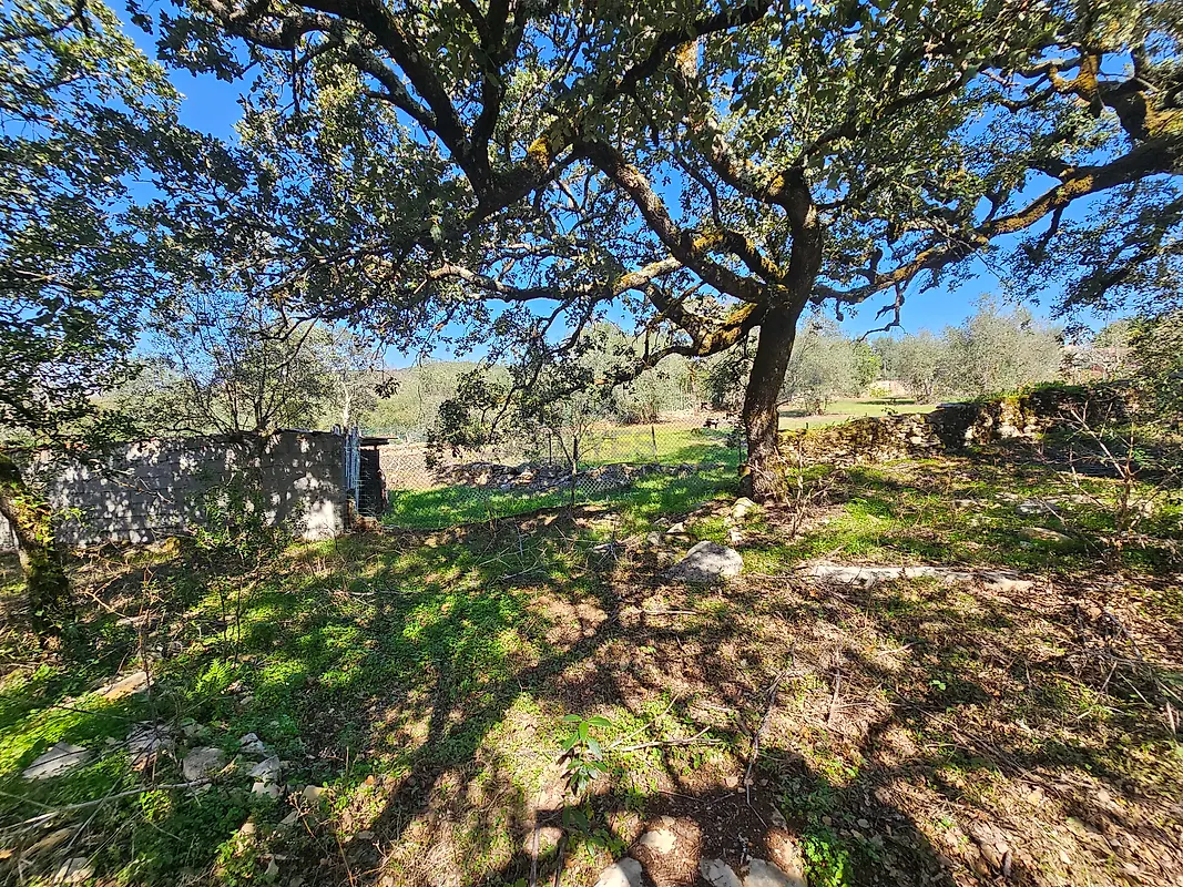 Moradia T0 à venda em Pussos São Pedro, Alvaiázere — foto 23