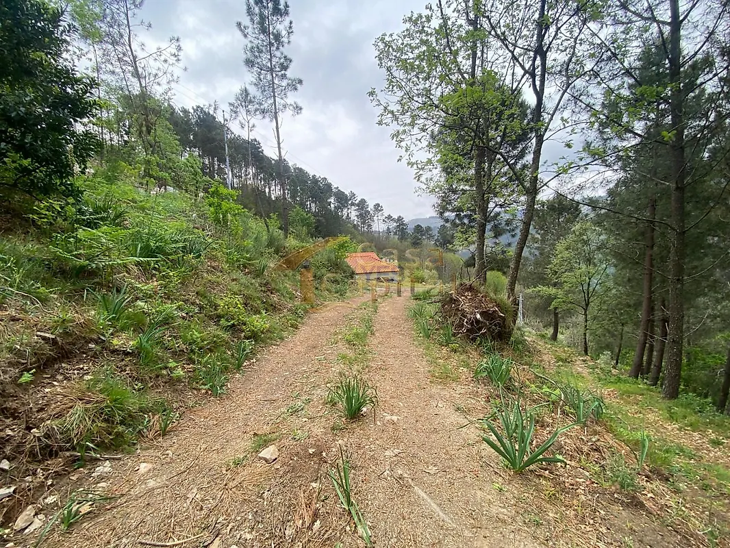 Moradia T2 à venda em Louredo e Fornelos, Santa Marta de Penaguião — foto 35