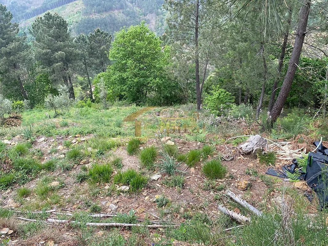 Moradia T2 à venda em Louredo e Fornelos, Santa Marta de Penaguião — foto 37