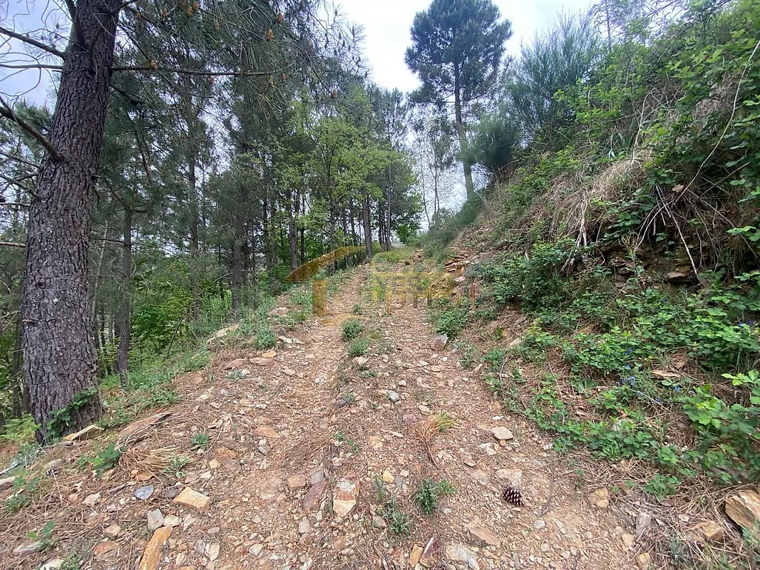 Moradia T2 à venda em Louredo e Fornelos, Santa Marta de Penaguião — foto 38