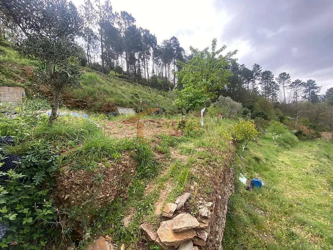Moradia T2 à venda em Louredo e Fornelos, Santa Marta de Penaguião — foto 23