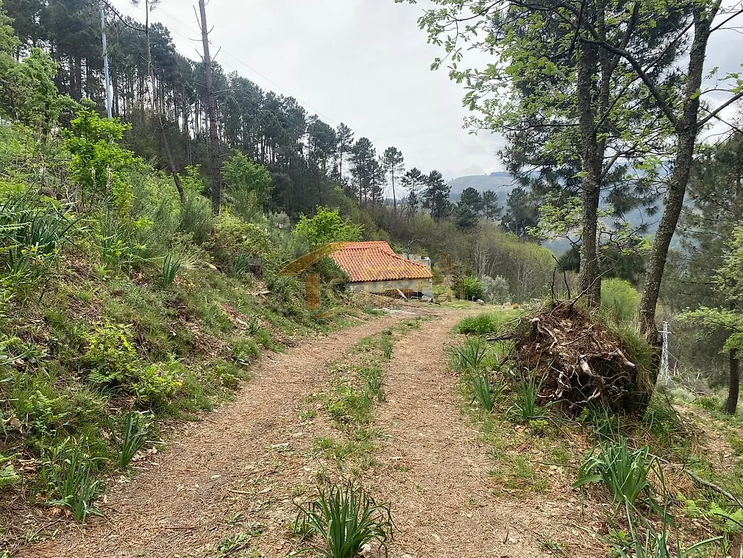 Moradia T2 à venda em Louredo e Fornelos, Santa Marta de Penaguião — foto 36