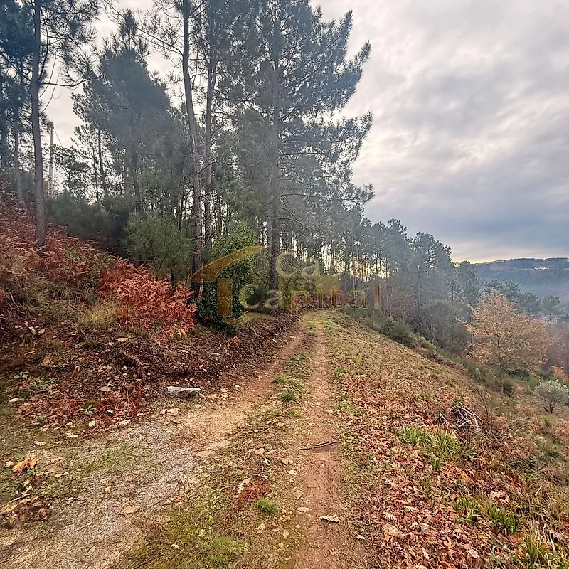 Moradia T2 à venda em Louredo e Fornelos, Santa Marta de Penaguião — foto 3