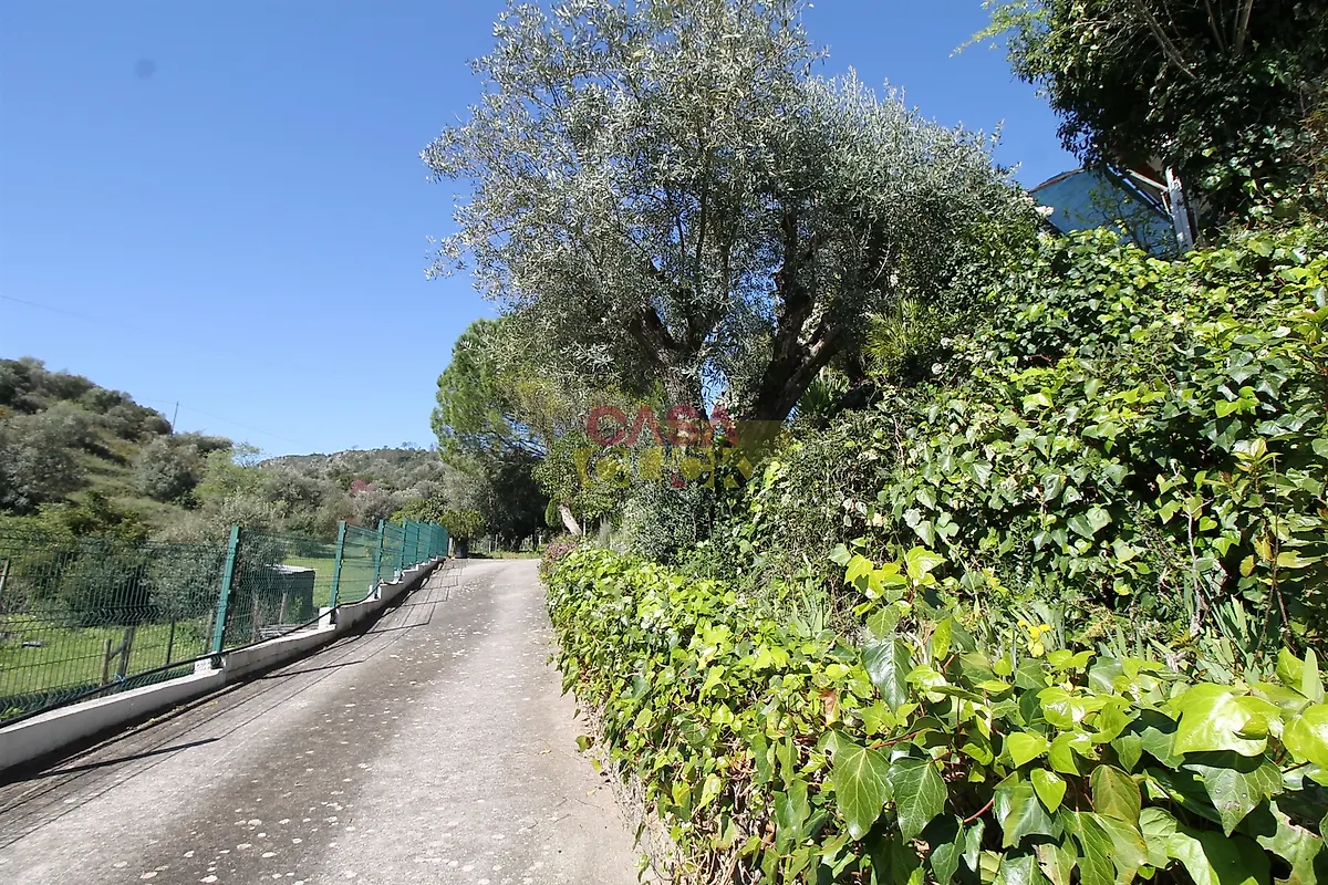 Moradia T3 à venda em Zibreira, Torres Novas — foto 9
