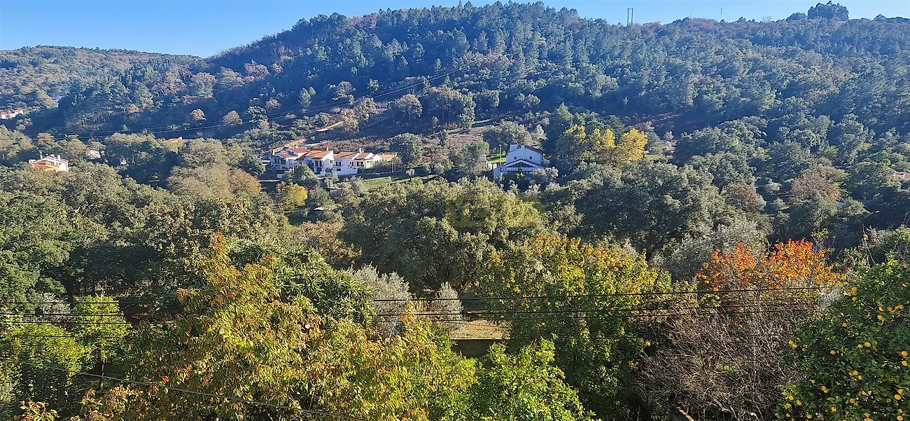 Moradia T4 à venda em Ribeira de Nisa e Carreiras, Portalegre — foto 2
