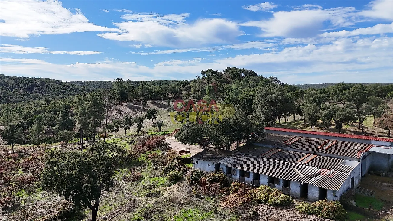 Apartamento T5 à venda em Bemposta, Abrantes — foto 6