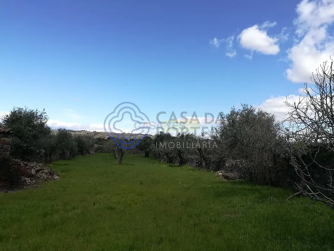Moradia T5 à venda em Oledo, Idanha-a-Nova — foto 29