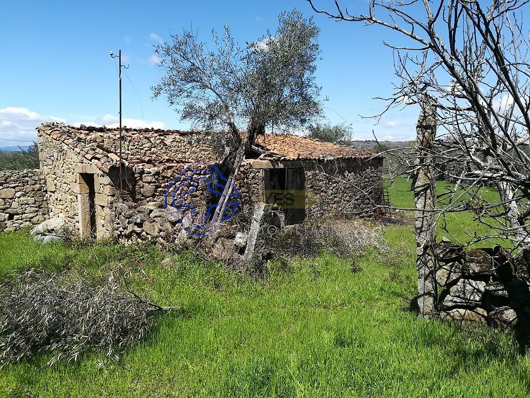 Moradia T5 à venda em Oledo, Idanha-a-Nova — foto 5