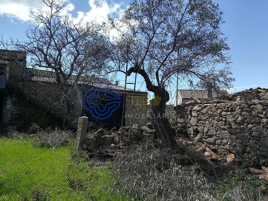 Moradia T5 à venda em Oledo, Idanha-a-Nova — foto 12