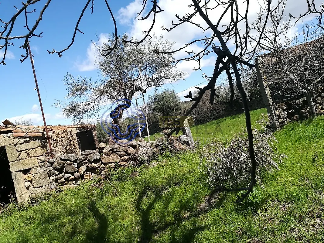Moradia T5 à venda em Oledo, Idanha-a-Nova — foto 40