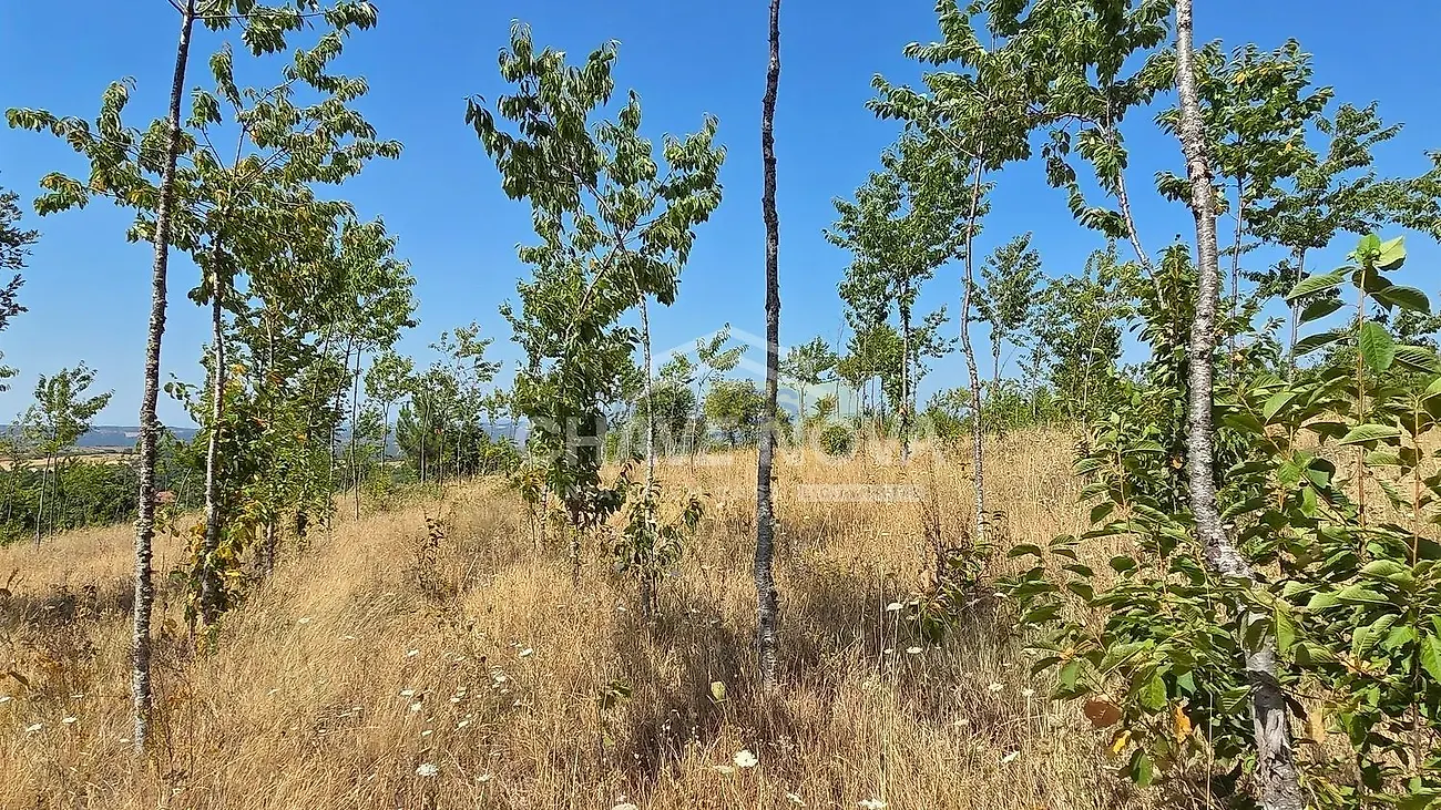 Moradia T4 à venda em Moimenta e Montouto, Vinhais — foto 8