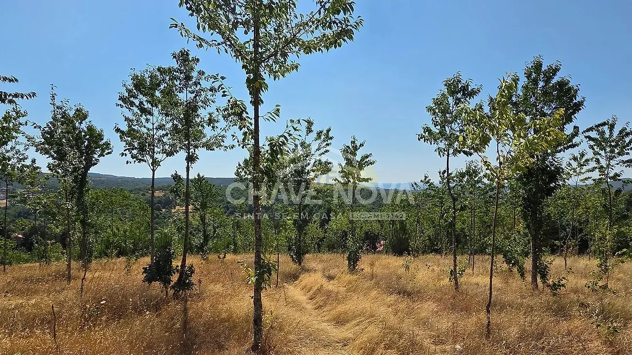 Moradia T4 à venda em Moimenta e Montouto, Vinhais — foto 9