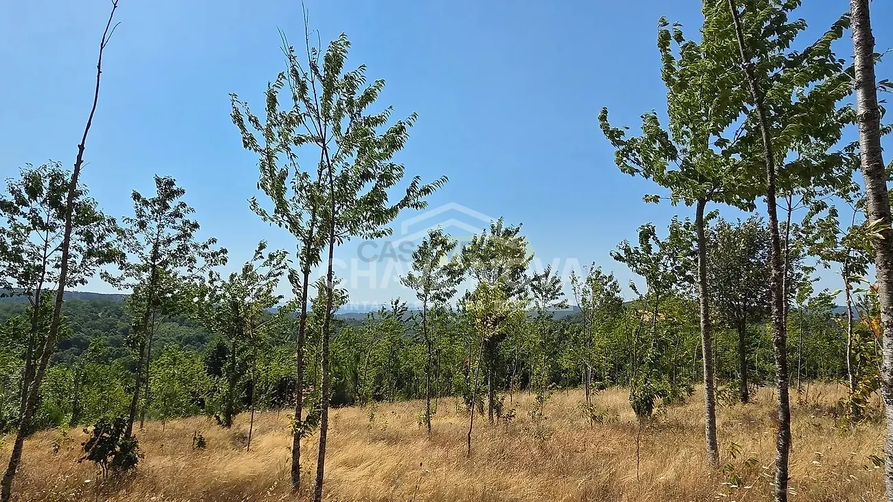 Moradia T4 à venda em Moimenta e Montouto, Vinhais — foto 11