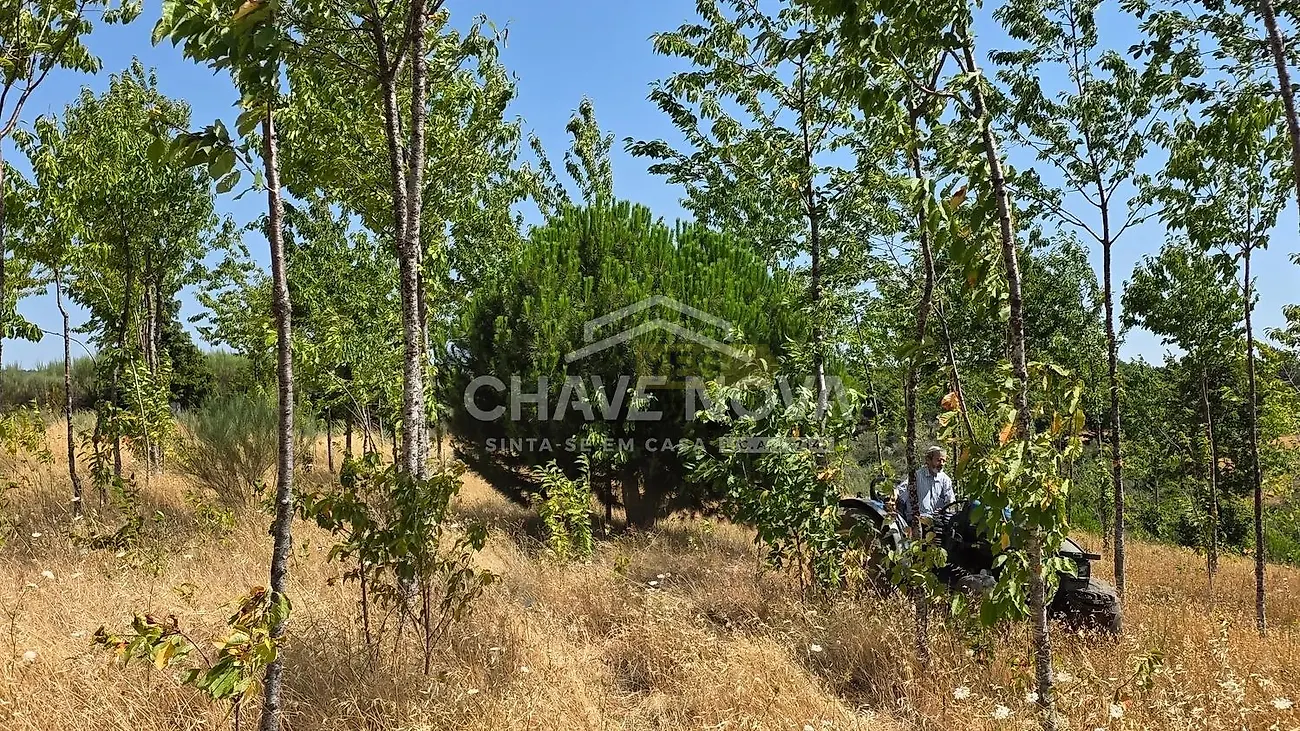 Moradia T4 à venda em Moimenta e Montouto, Vinhais — foto 12
