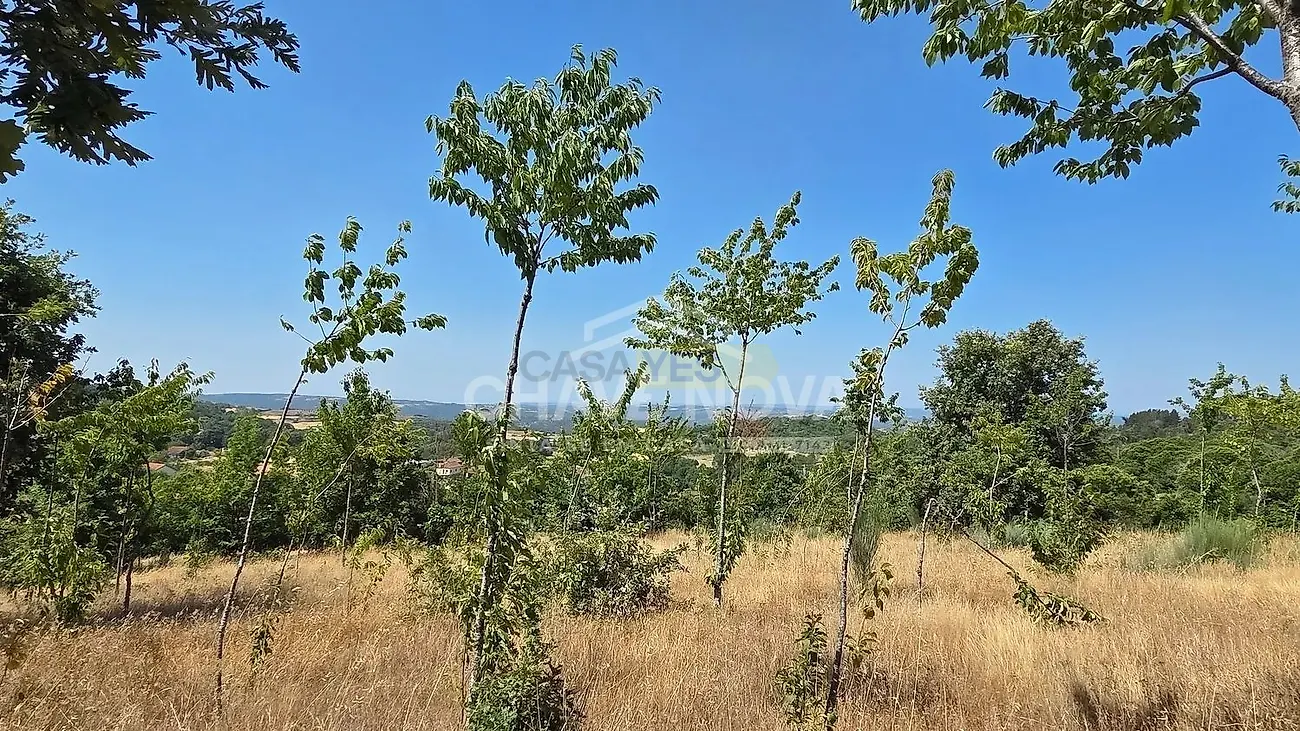 Moradia T4 à venda em Moimenta e Montouto, Vinhais — foto 13