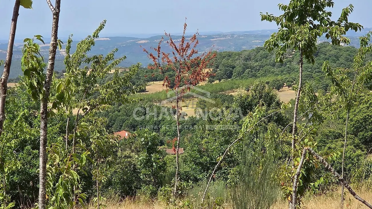 Moradia T4 à venda em Moimenta e Montouto, Vinhais — foto 14