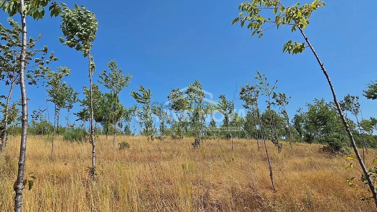 Moradia T4 à venda em Moimenta e Montouto, Vinhais — foto 15