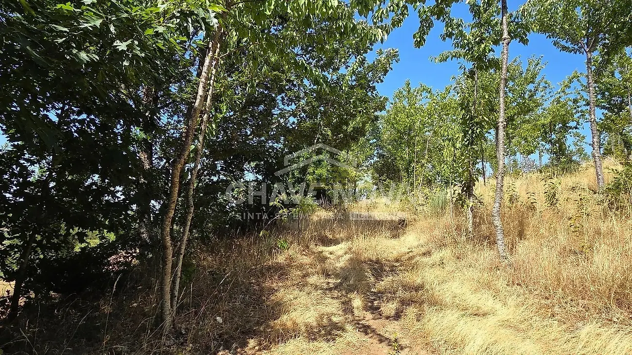 Moradia T4 à venda em Moimenta e Montouto, Vinhais — foto 17