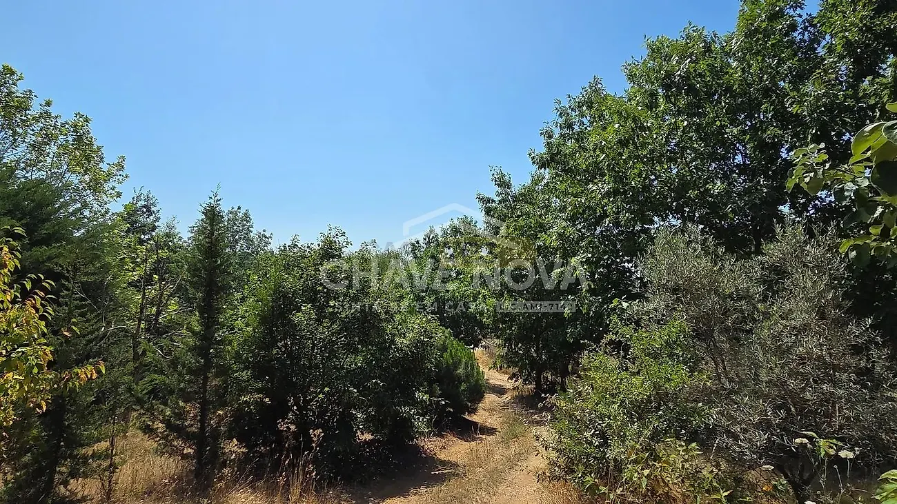 Moradia T4 à venda em Moimenta e Montouto, Vinhais — foto 18