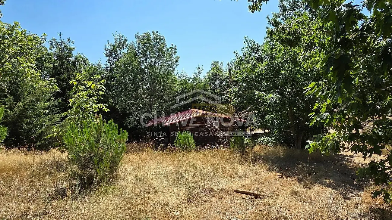 Moradia T4 à venda em Moimenta e Montouto, Vinhais — foto 20